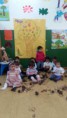/album/otono-en-la-clase-sol/img-9936-jpg/