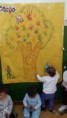 /album/otono-en-la-clase-sol/img-9934-jpg/