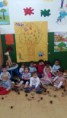 /album/otono-en-la-clase-sol/img-9926-jpg/