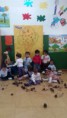 /album/otono-en-la-clase-sol/img-9927-jpg/