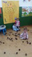 /album/otono-en-la-clase-sol/img-9911-jpg/